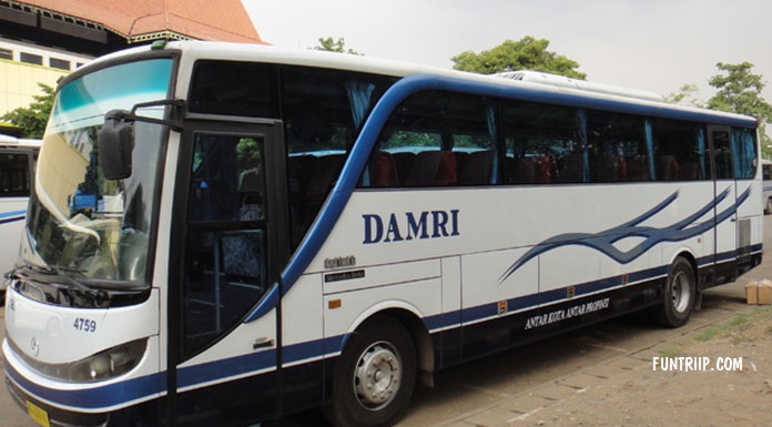 Xe buýt Damri chạy từ sân bay vào trung tâm Jakarta