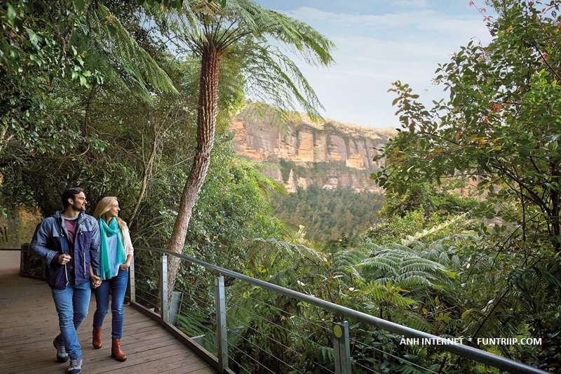 Con đường đi bộ Walkway dài 2,4 km đưa du khách hòa mình trong rừng nhiệt đới Jurassic của thung lũng Jamison.
